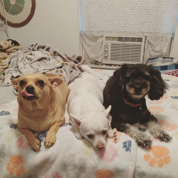 Hi I'm Maegan!! - Picture 5 of 11